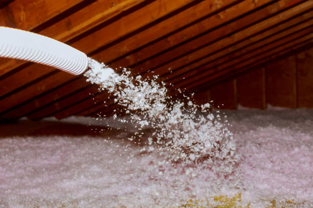 Best Cellulose Insulation in Osawatomie, KS